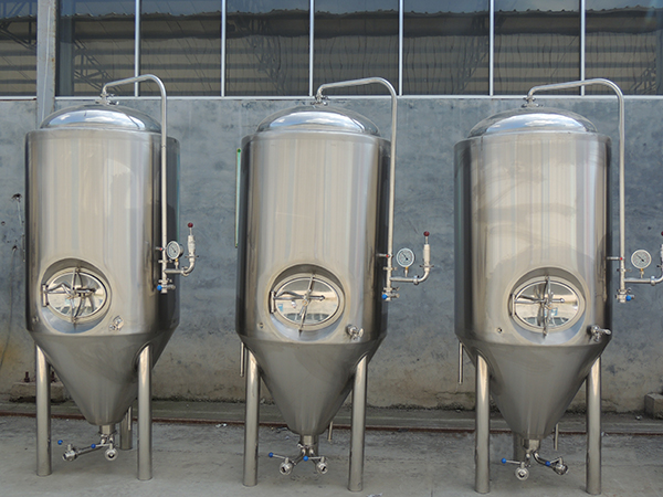 ферментации  системы